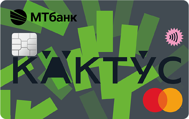 kaktus