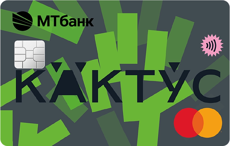 kaktus