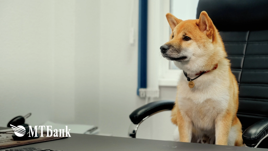 Pets_day7.jpg Pets_day7.jpg