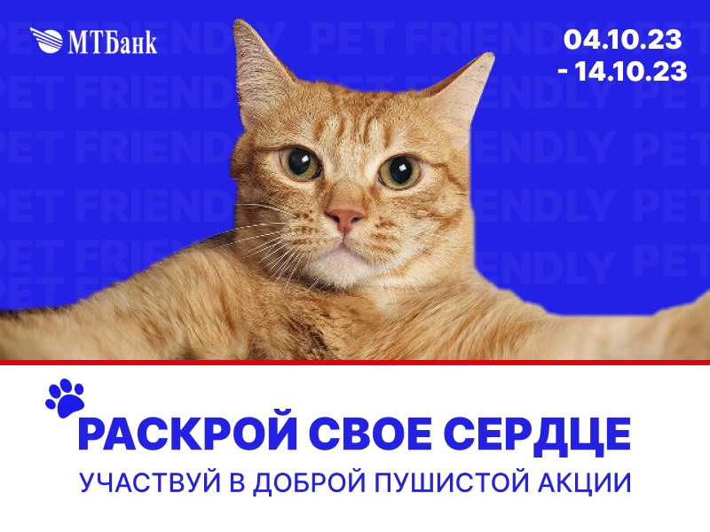 800x600.png 800x600.png