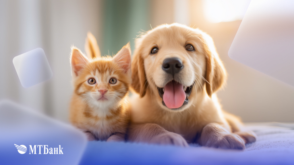 МТБанк_Домашние_питомцы.jpg