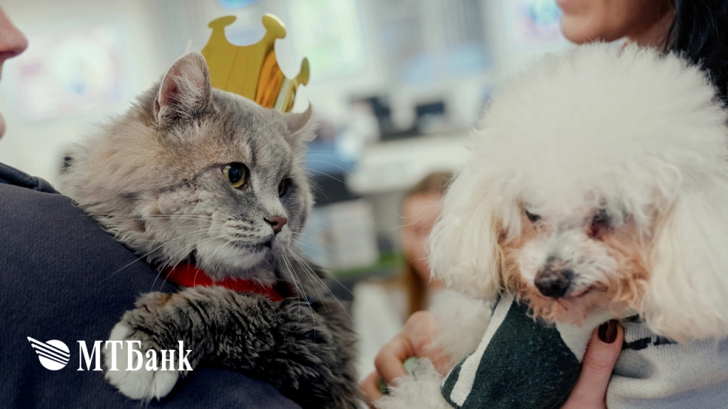 Pets_day4.jpg Pets_day4.jpg