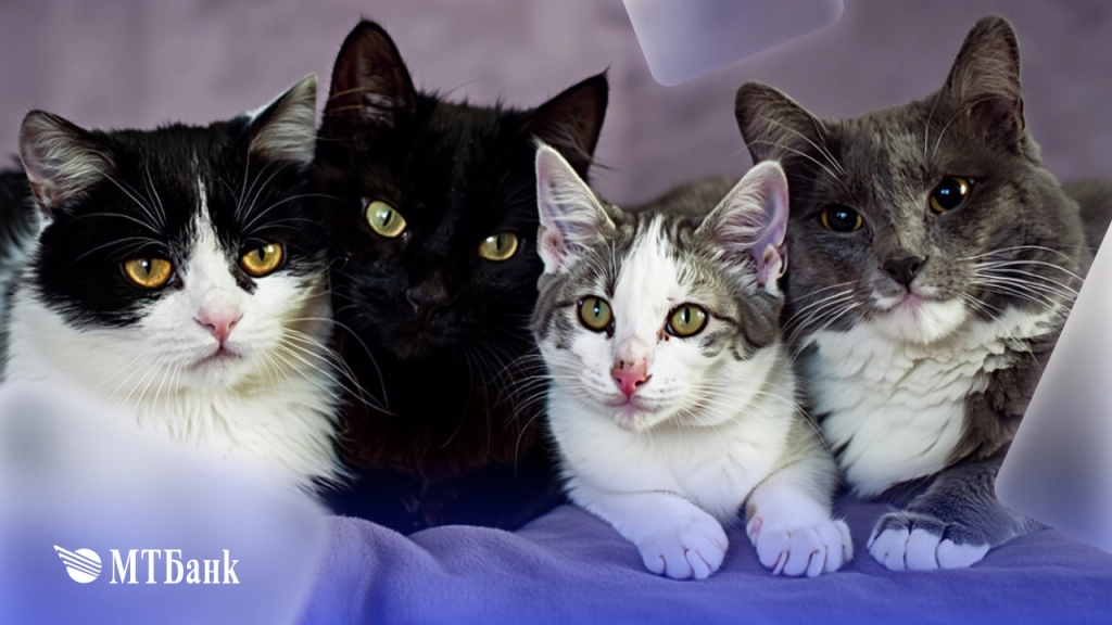 МТбанк_Pets_Day(1).jpg МТбанк_Pets_Day(1).jpg