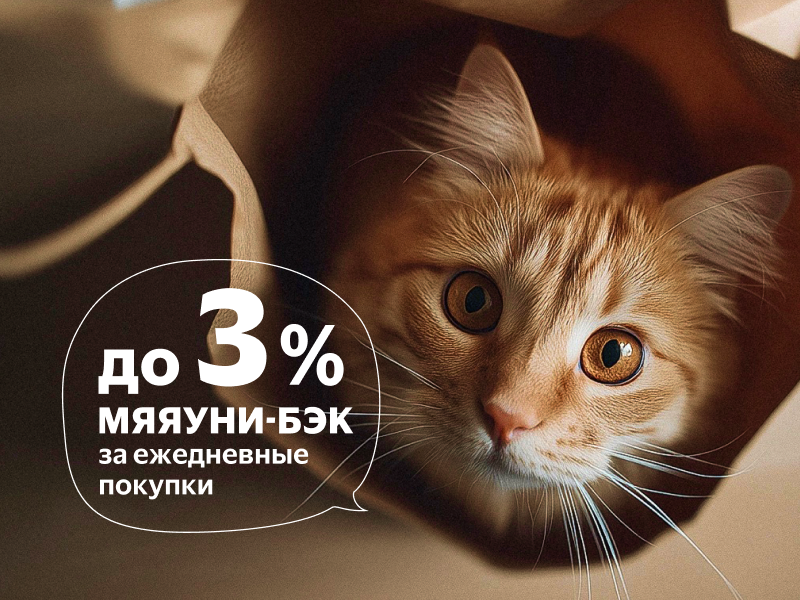 Новость 800 600.png