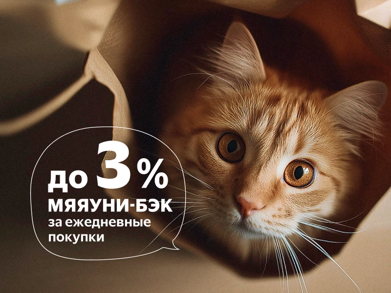 Новость 800 600.png